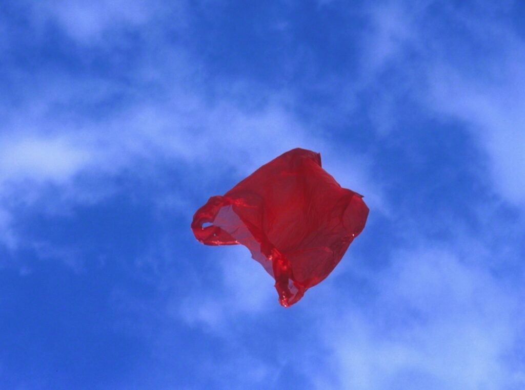 Obra de arte "Patriot" de artista Dennis Adams 