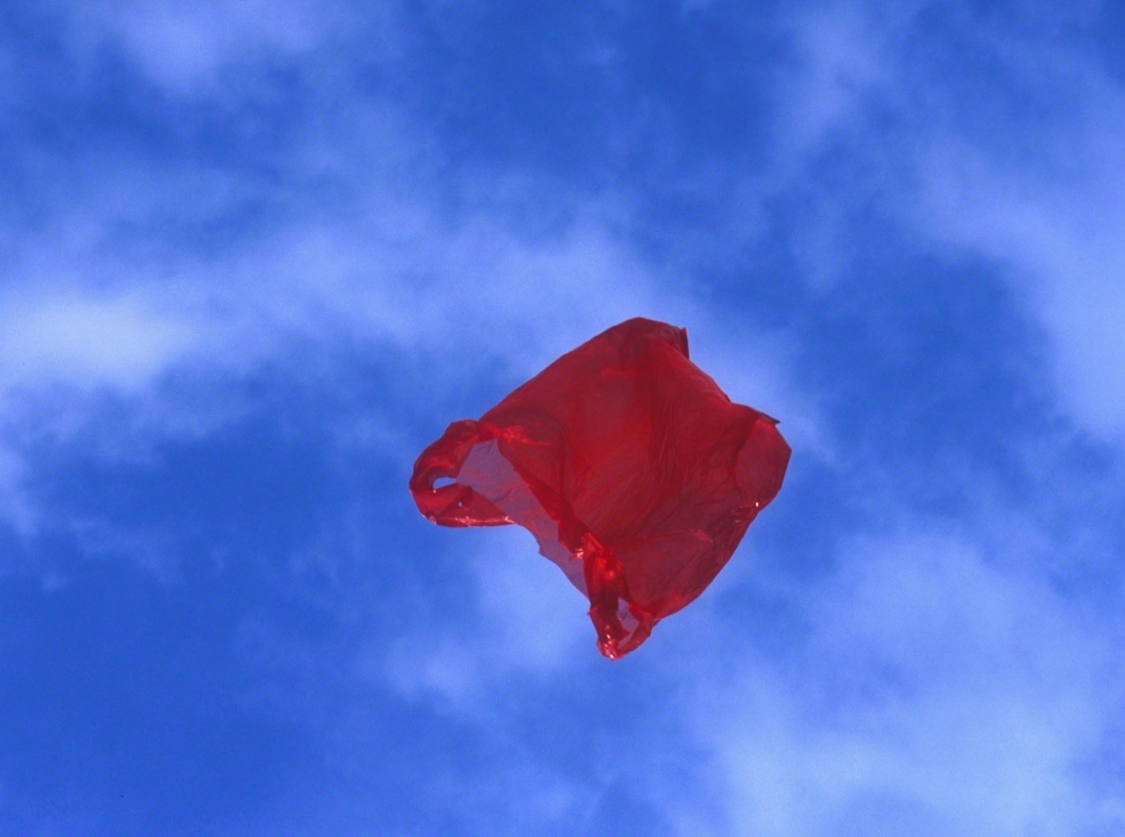 Obra de arte "Patriot" de artista Dennis Adams